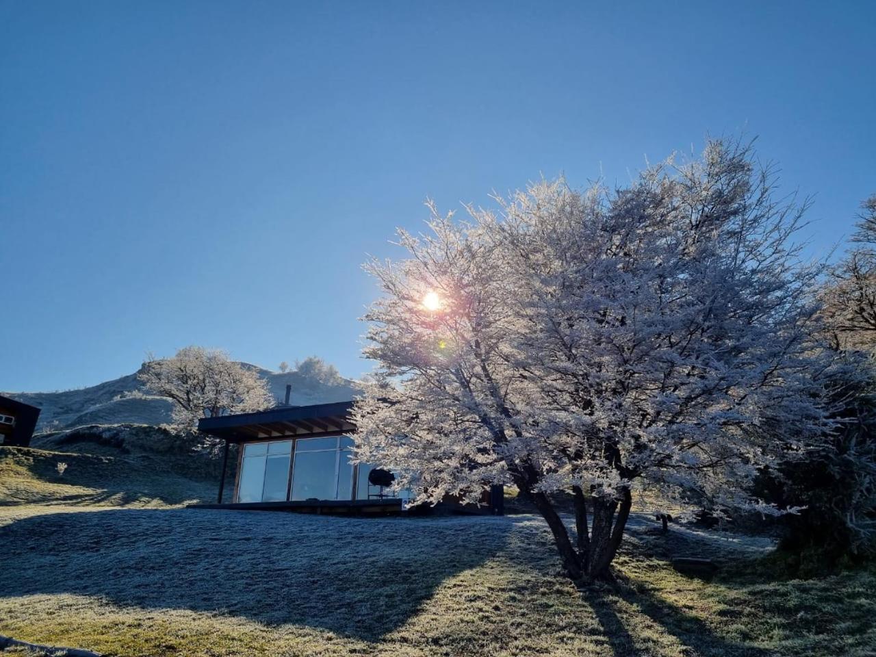 Patagonia Indomita